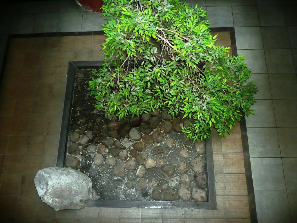 Like Home Apartments - 2 Rooms With Balcony VNO Exterior foto