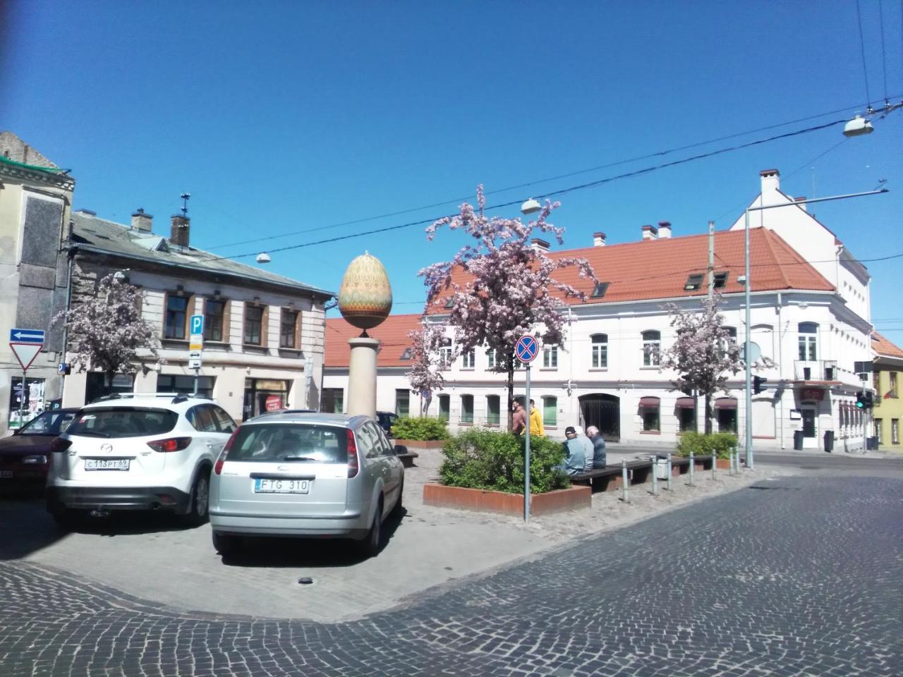 Like Home Apartments - 2 Rooms With Balcony VNO Exterior foto
